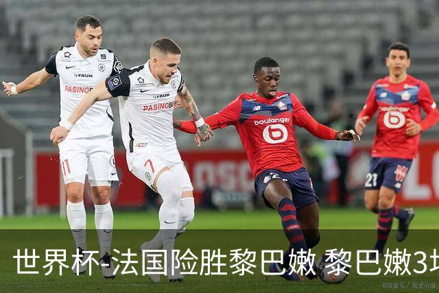 世界杯-法国险胜黎巴嫩 黎巴嫩3场合计输100分